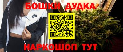 тгк Можга