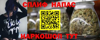тгк Можга