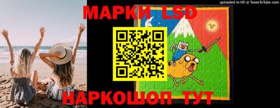 мяу мяу мука Моздок