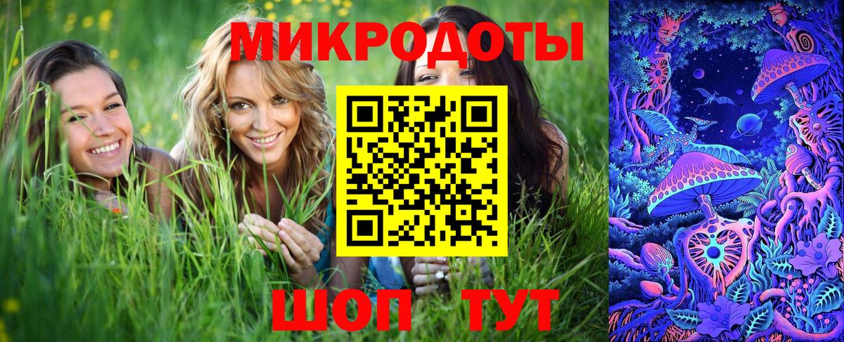 Чехов  Псилоцибиновые грибы GOLDEN TEACHER  Вход с VPN  купить наркоту  Псилоцибиновые грибы Psilocybe 