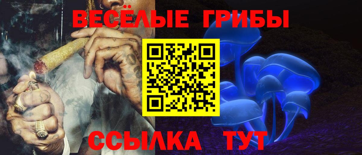 Псилоцибиновые грибы MAGIC MUSHROOMS Чехов