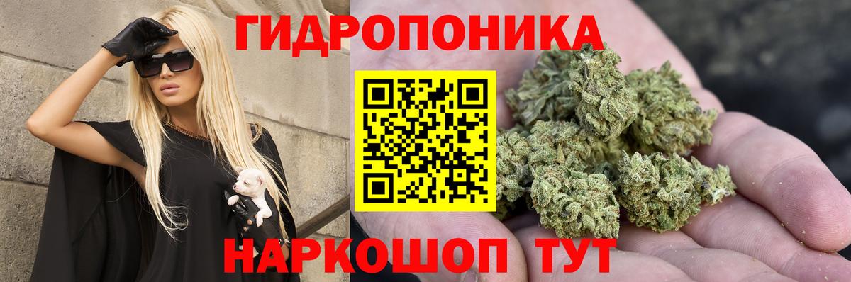 Конопля White Widow Чехов